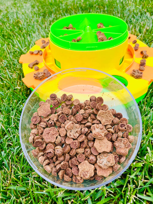 Beef & Blueberry Busy Bites